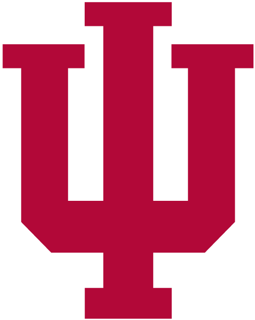 Indiana Hoosiers 2002-Pres Primary Logo t shirts DIY iron ons